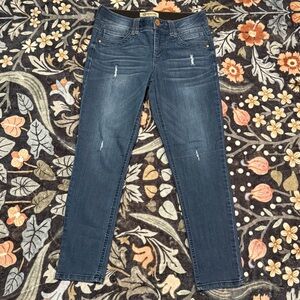 Democracy Distressed Indigo Skinny Jeans (6)